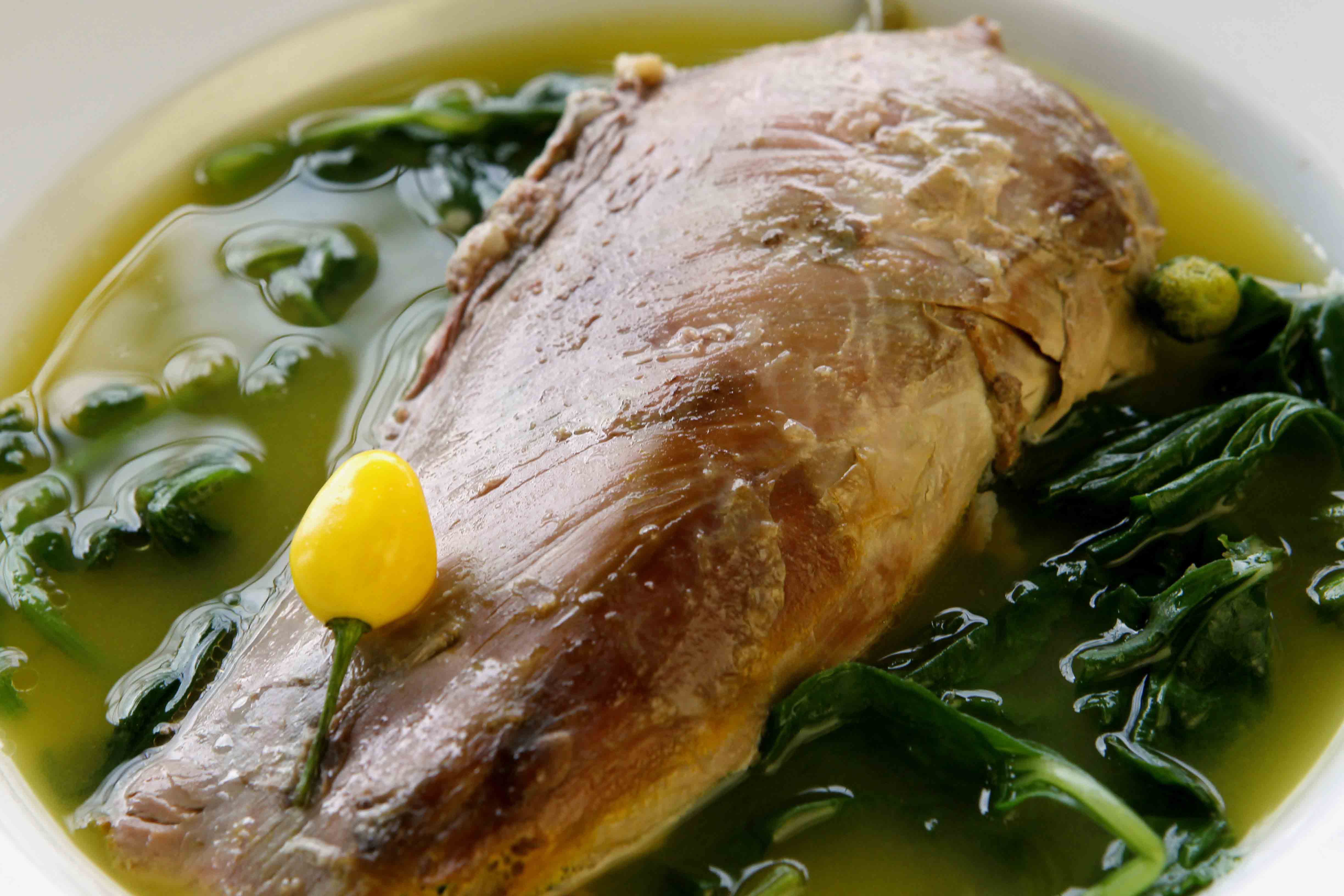 Pato no tucupi: gastronomia paraense é motivo de orgulho nacional