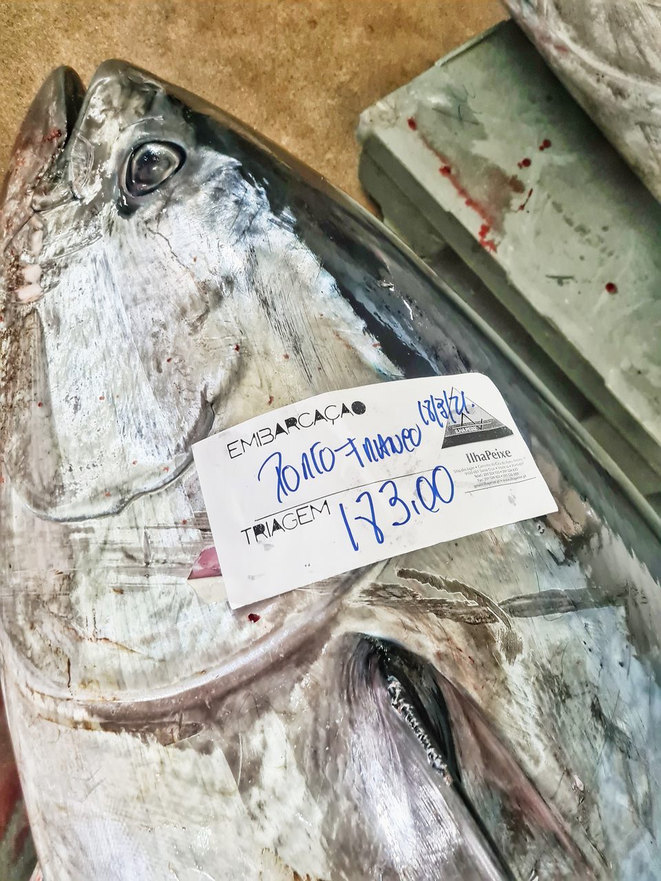 Rastrear os alimentos é descobrir detalhes sobre a cadeia do alimento: de onde vem o pescado que você serve aos seus comensais?